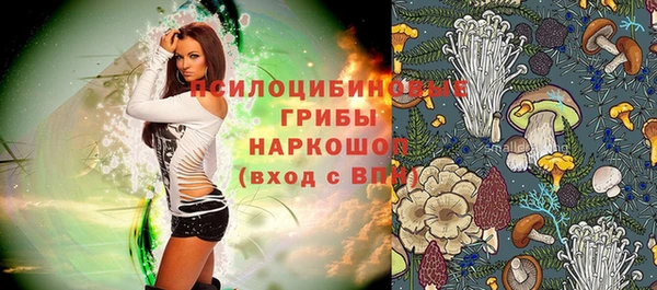 стафф Гусев