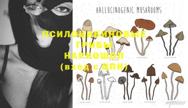 твердый Алексин