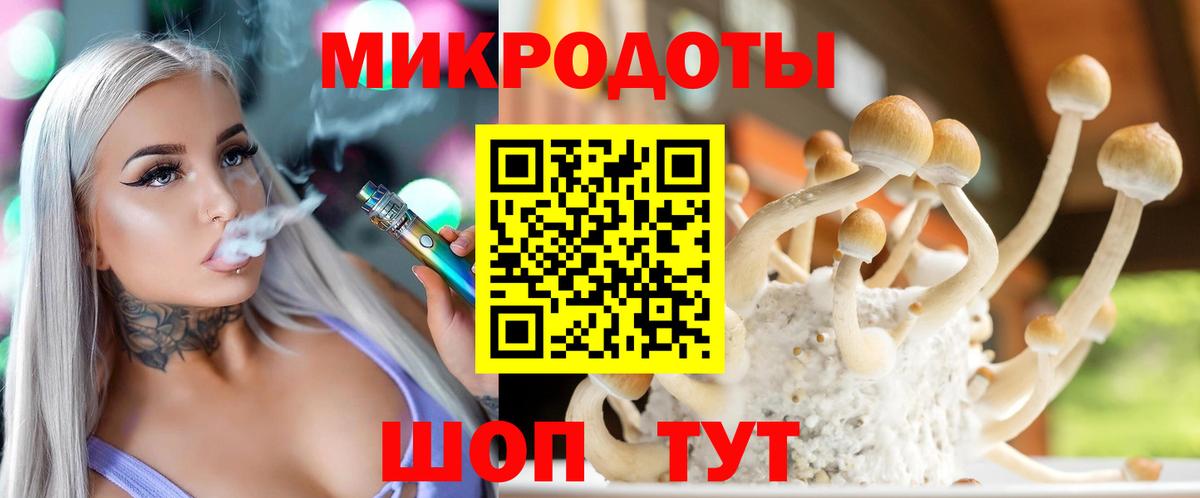 Псилоцибиновые грибы Cubensis Апатиты