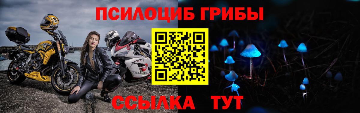 Апатиты  закладка  Вход с VPN  Галлюциногенные грибы Magic Shrooms 